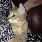 Denise Walters - @denise.walters.313 - Instagram