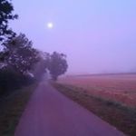 Denise Walters - @denisewalters1963 - Instagram