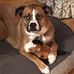 Denise Walters - Facebook