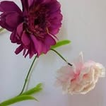 Denise Wan - @denise.wan.589 - Instagram