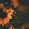 N_oelle✨️ - @denisewanyana - TikTok