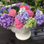 Denise Watt - @watt4818 - Instagram