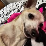 Denise Wayne - @denisewayne82 - Instagram