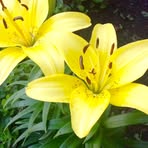 Denise Wehner - Facebook