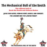Tina Denise Weldon - @themechanicalbullofthesouth - Instagram