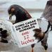 Denise Wester - Facebook