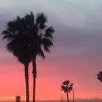 Denise Westfall McLin - @denisemclin - Instagram