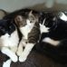 Denise Whaley - Facebook