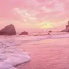 user1569479409111 - @denisewick2 - TikTok