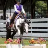 denisewillard5 - @denisewillard5 - TikTok