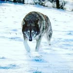 Denise Windisch - @wind.de - Instagram