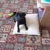 Denise Windsor - Facebook