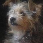 Denise Wing - @wing9137 - Instagram