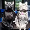 Denise Winterbott691 - @denisewinterbott6 - TikTok