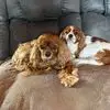 Denise Wise - @denise.wise80 - TikTok
