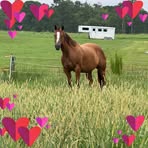Denise Wise - Facebook