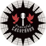 Denise Wise & David Donley - @peaceful_cacophony - Instagram