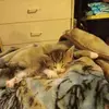 Denise Wolfgram - @denise.wolfgram - TikTok