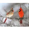 Denise Wright331 - @denisewright1984 - TikTok