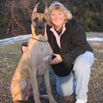 Denise Yeager Yazujian - @dyaz61 - Instagram