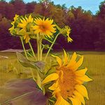 Denise Baxter Yoder - @randomrhymeandering - Instagram