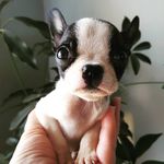 Denise Sivits Yoder - @denise.yoder - Instagram