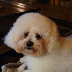 Denise Yoder - @deniseyoder20 - Instagram