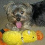 Denise Yoder-Gruzensky - @d_dgruzensky - Instagram