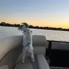 deniseyontz416 - @deniseyontz416 - TikTok