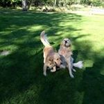 Denise Youngberg - @calmar2833 - Instagram