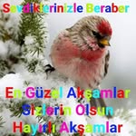 deniz askin - @denizaskin828 - Instagram