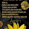 deniz aşkın - @denizaskin2 - TikTok