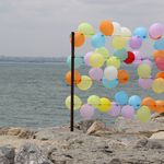 Ali & Deniz Bayramoglu - @bayramoglu_photography - Instagram