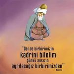 Deniz Bayramoğlu - @deniz.bayramoglu.374 - Instagram