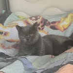 Deniz bilgen - @den.izbilgen - Instagram