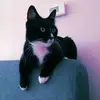 deniz_duru28 - @deniz_duru28 - TikTok