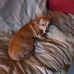Dennis G Acles - Facebook