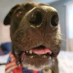 Dennis Ackley - @punchdenns - Instagram