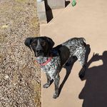 Dennis Ackley - @ackley.dennis - Instagram