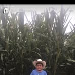 Denis Adan - Facebook
