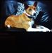 Dennis Agnew - Facebook