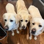 Dennis Ahern - @dennis.ahern - Instagram
