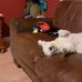 Dennis Aherne - Facebook