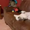 Dennis Aherne - @dennis.aherne - TikTok