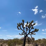 Dennis Alan - @dennis.alan - Instagram