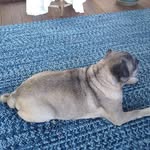 dennis Angerstien - @dennisangerstien - Instagram