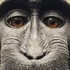 Dennis_danger - @dennis_danger - TikTok