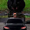 dennisasman - @dennisasman - TikTok