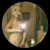 RRR - @dennisantonio221 - TikTok