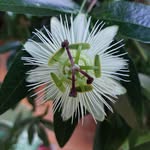 Dennis Applegate - @dapple4747 - Instagram